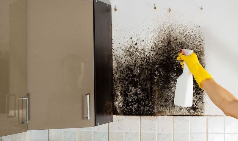 cropped picture of a person spraying something on the mould