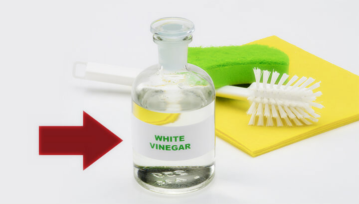 white vinegar in glass bottle along with sponge