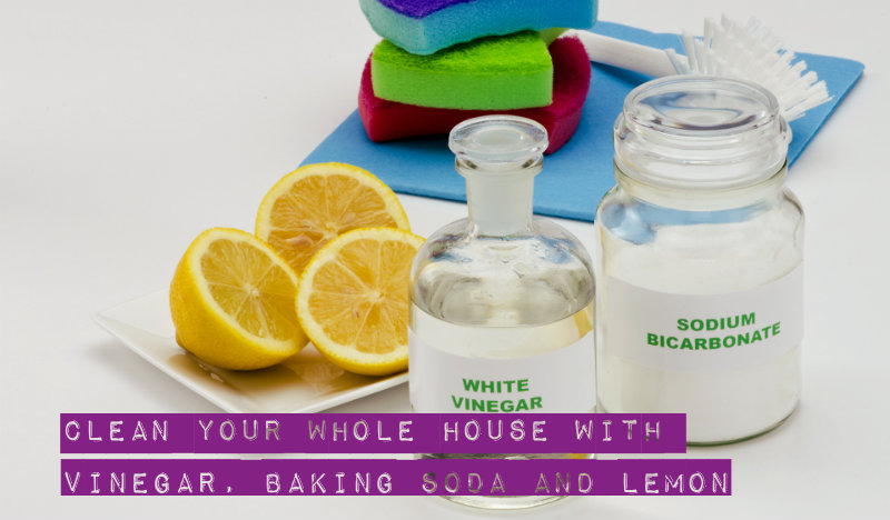 vinegar, baking soda and lemon kept on table