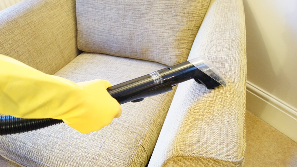 cropped image of a professional vacuuming furniture