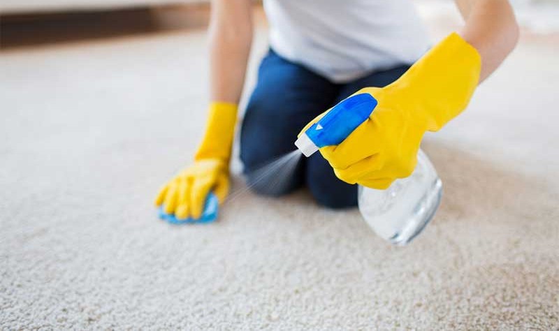 cropped picture of a woman spraying solution on a carpet