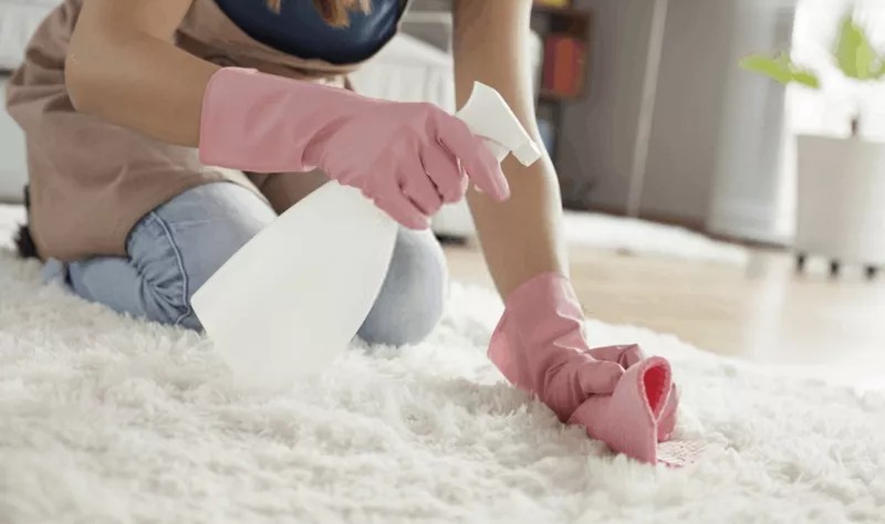 cropped picture of a woman wiping a carpet with a cloth rag