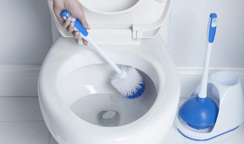 cropped image of a woman with toilet brush