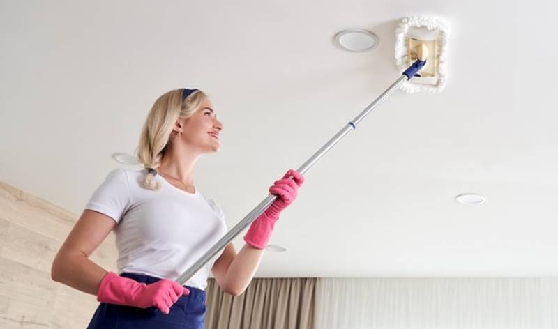 Woman in white dress and pink gloves scrubbing ceilings inside a room