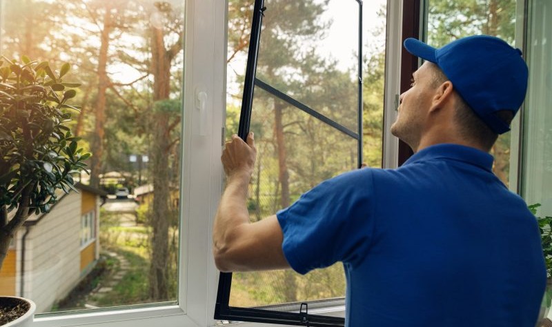 young professional installing windows screens