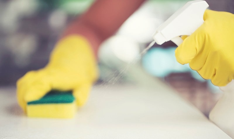 cropped picture of a woman disinfecting a surface