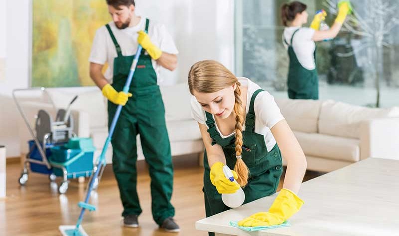 green dressed professionals making a room tidy