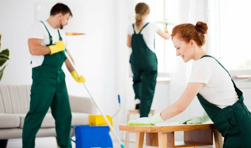team of professionals sprucing up a residential property