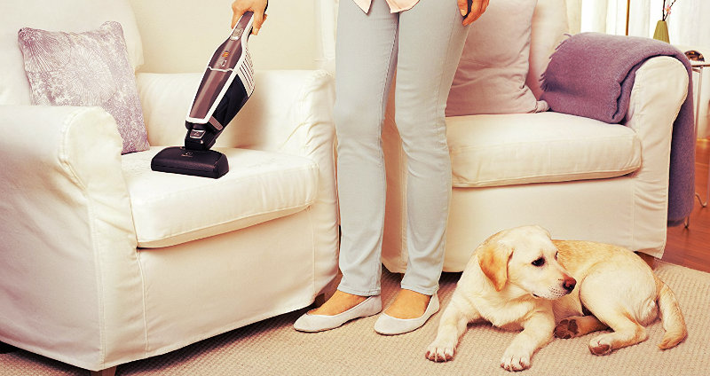 lady vacuuming sofa and dog sitting on floor