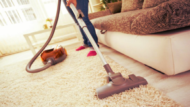 cropped image of lady vacuuming carpet