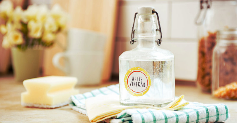 white vinegar in glass bottle and rag