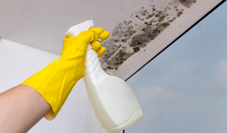 Hand in yellow glove holding a white bottle pointing towards ceiling