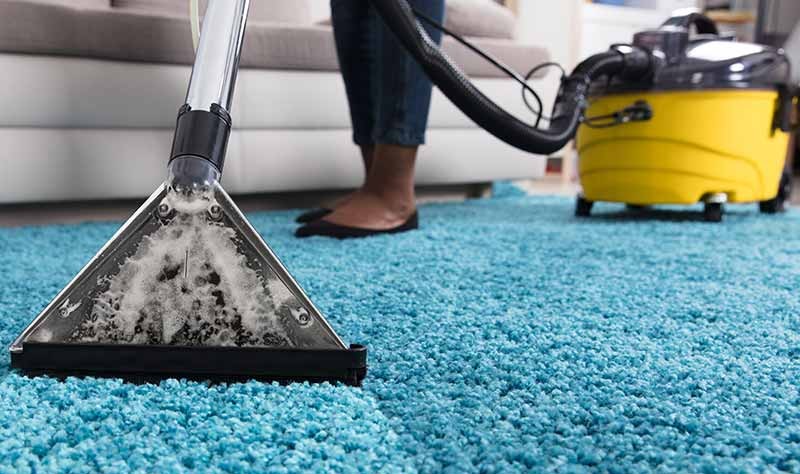 cropped picture of a woman making her carpet tidy