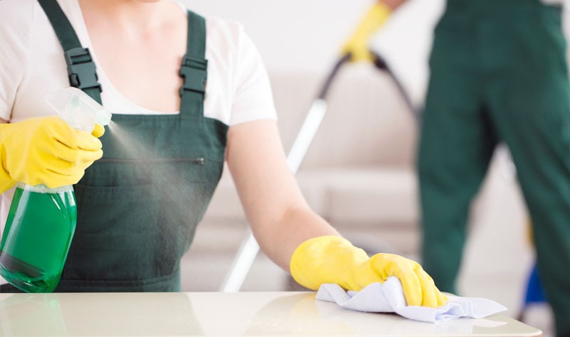 cropped picture of professionals sprucing up a property