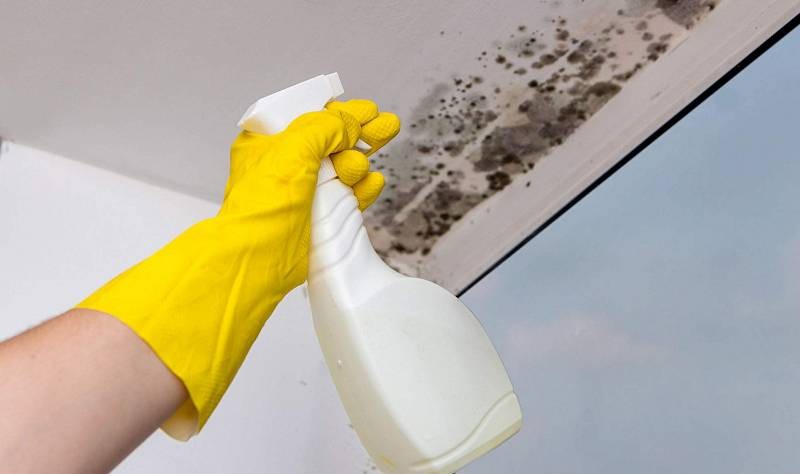 cropped picture of a young man removing mould from the wall