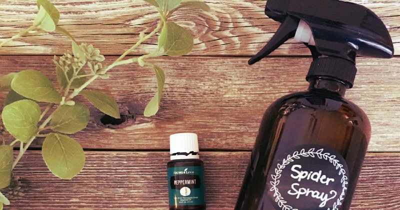bug repellent spray bottle on wooden table