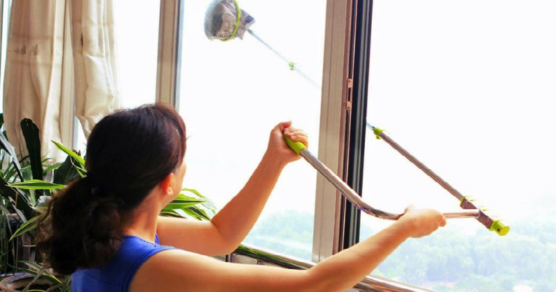 lady wiping the window with a long rod with a handle