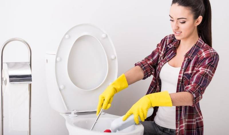 Women cleaning toilet