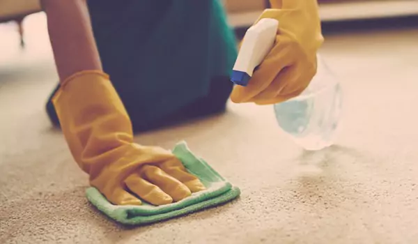 cropped picture of a person cleaning a carpet
