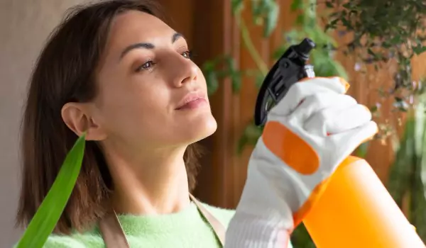 woman cleaning a glass with a glass cleaner