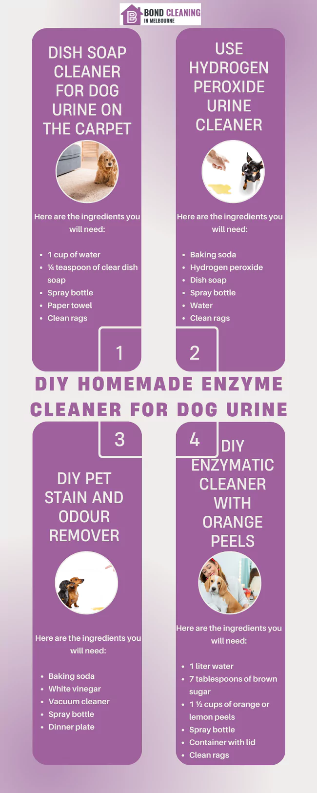 tips for a diy homemade enzyme cleaners for dog urine