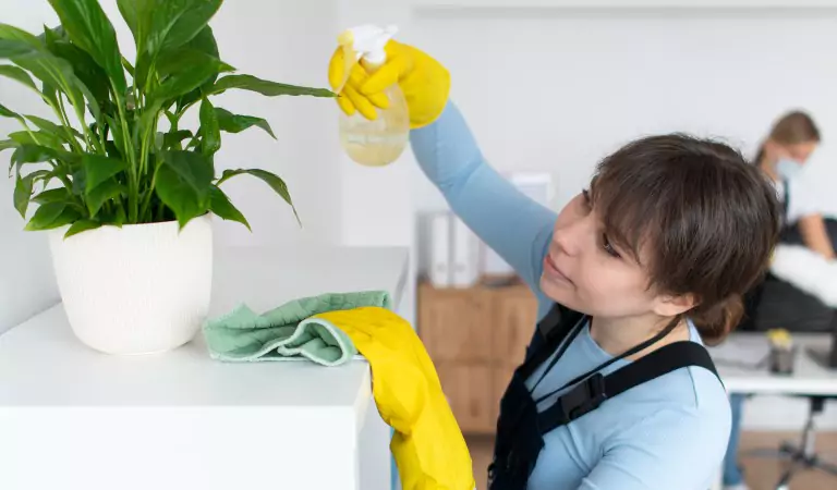 woman wiping up a household surface and cleaning