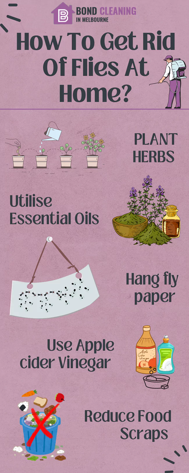 How To Get Rid Of Flies At Home